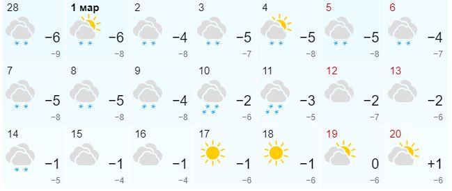 Фото Синоптики дали прогноз погоды в Новосибирске на март 2022 года 3